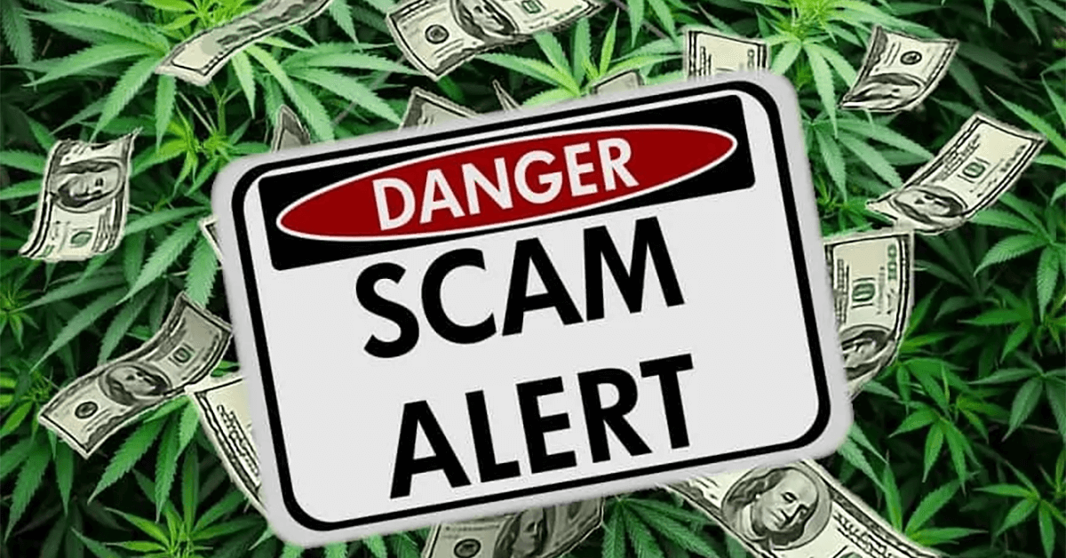 CRA Issues Warning to Licensed Cannabis Operators in Michigan About ...